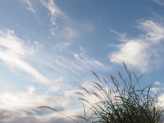 秋の空