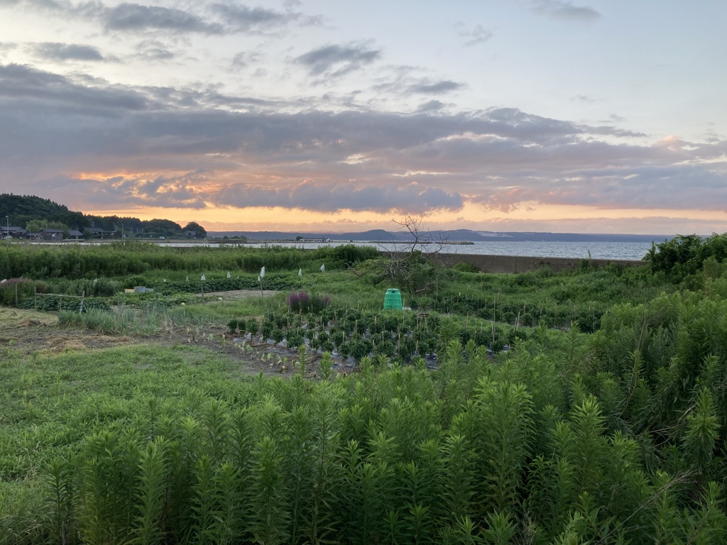 能登島の夕暮れ