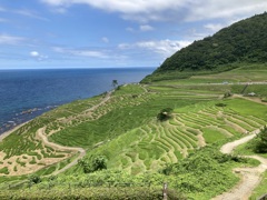 能登半島の白米千枚田より