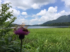 2014年真夏の尾瀬沼