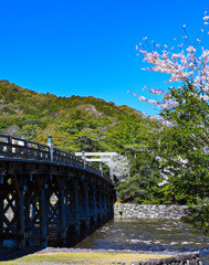 春の伊勢神宮　宇治橋