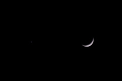 金星と月