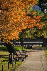 誰かが座って話していたような気がしただけ。