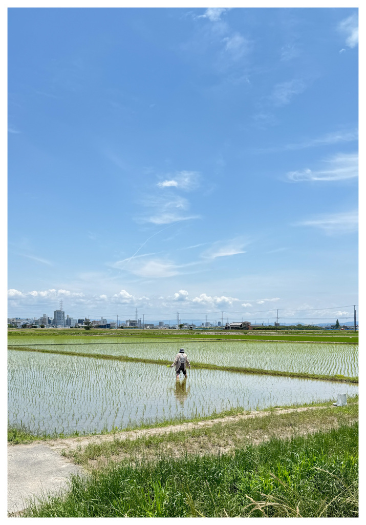 田植えのおばあちゃん