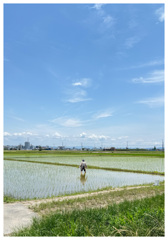 田植えのおばあちゃん