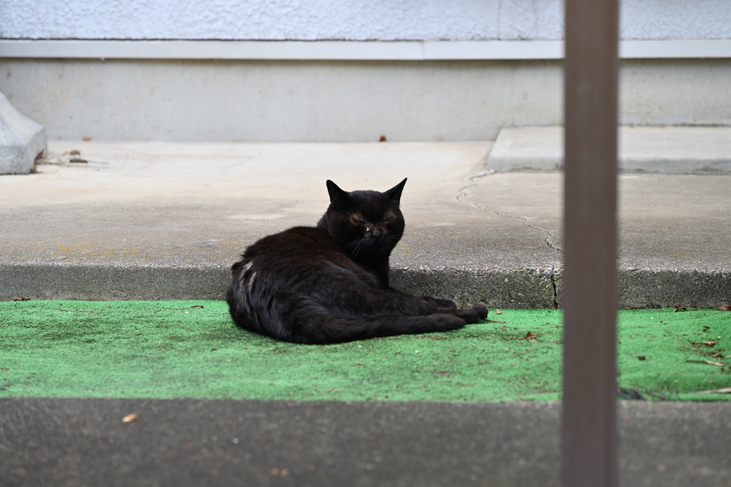 平和な一日