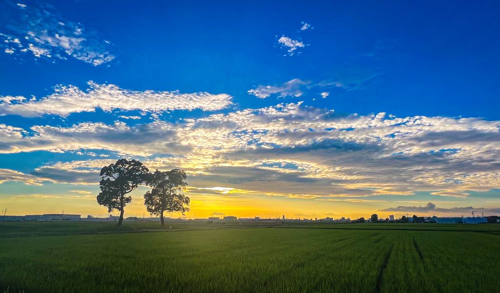 雨上がりの夕暮れ