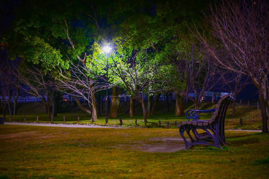 不気味な夜の公園