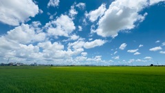 夏空