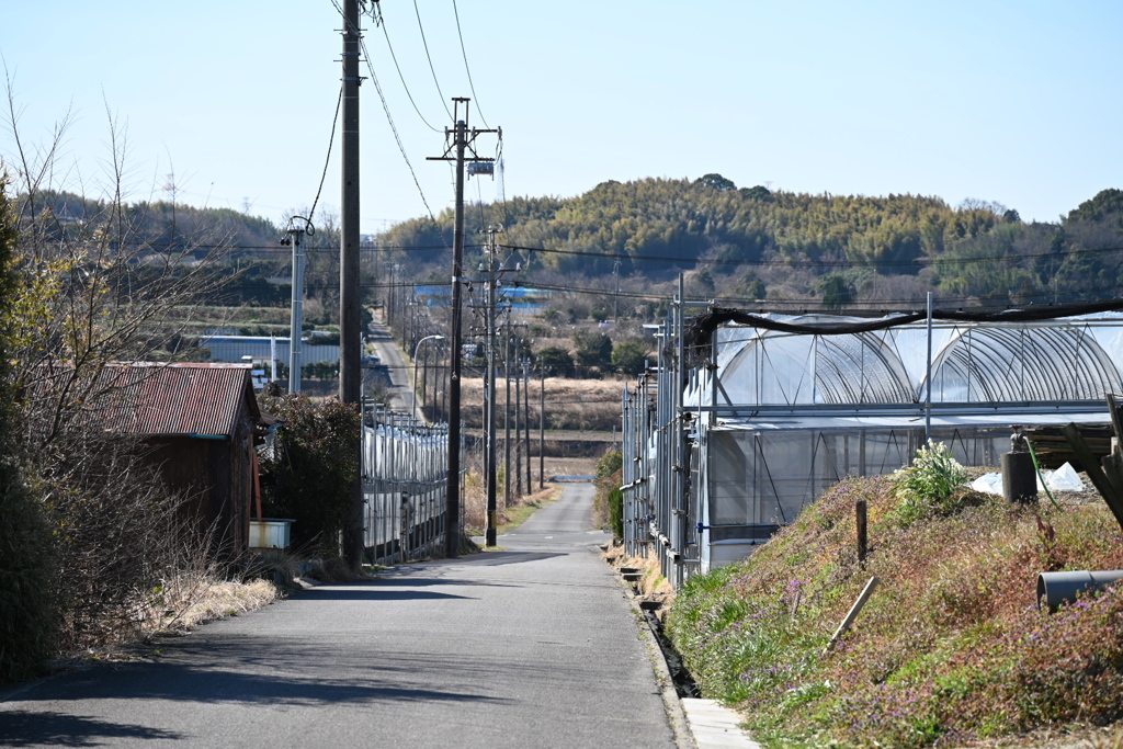 田舎道
