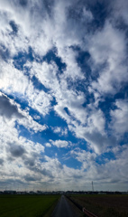 吸い込まれそうな空