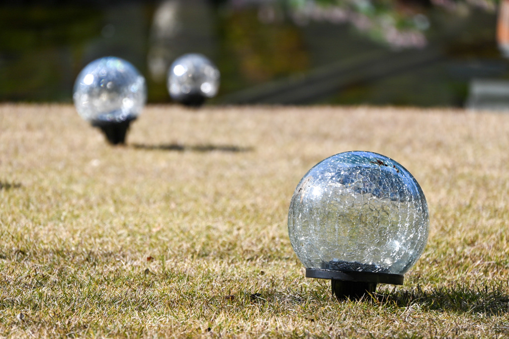 豊田ガーデンにて