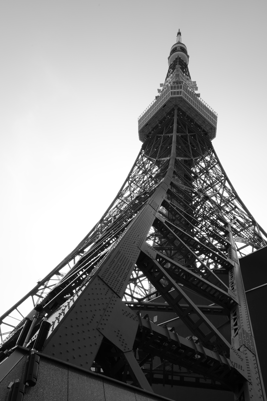東京タワー見てきました