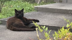 ここは僕の特等席