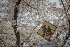 通学路（時は過ぎて）