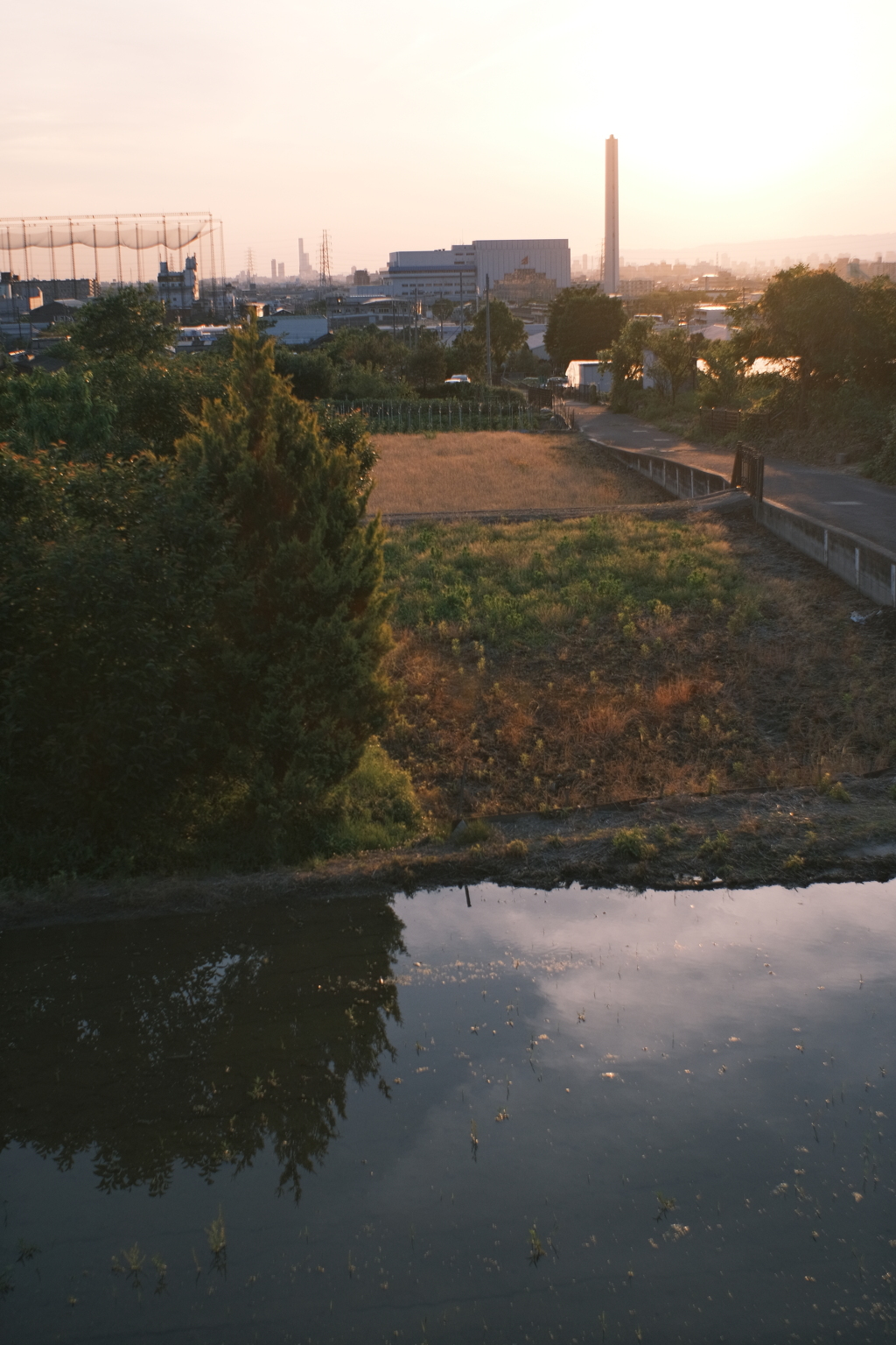 空気が夏を呼ぶ夕暮れ（前）