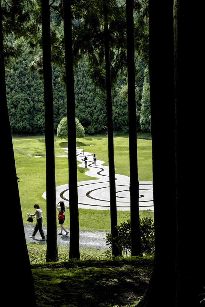 芸術の森を森の中から