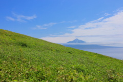 礼文島からの利尻富士