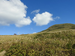 八丈島