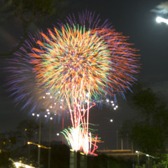 hanabi1