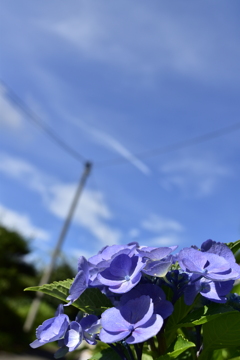 良い天気だ~~