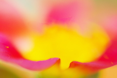 IMGP0279