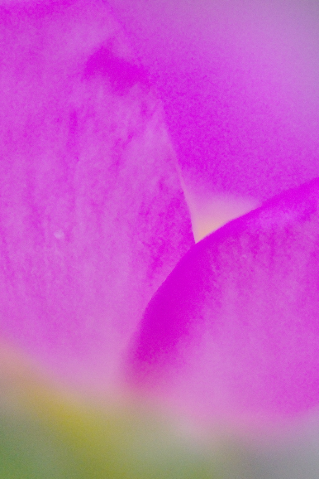 IMGP0378
