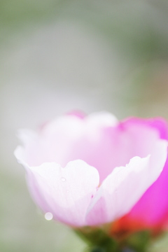 IMGP0425