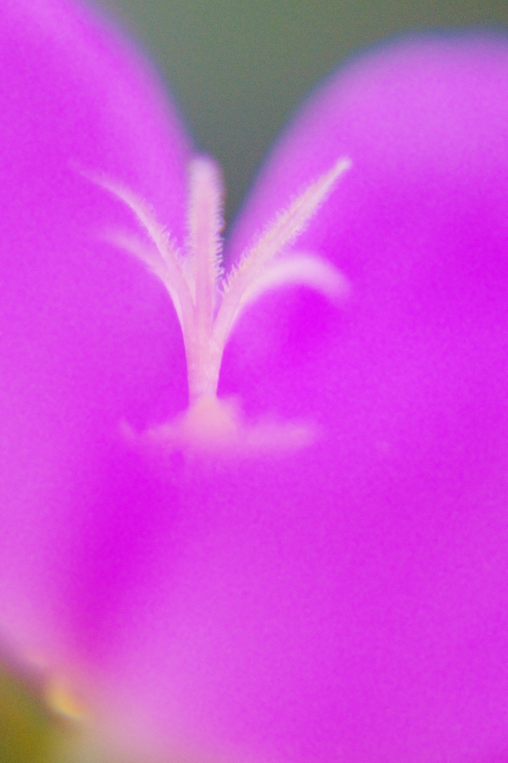 IMGP0384