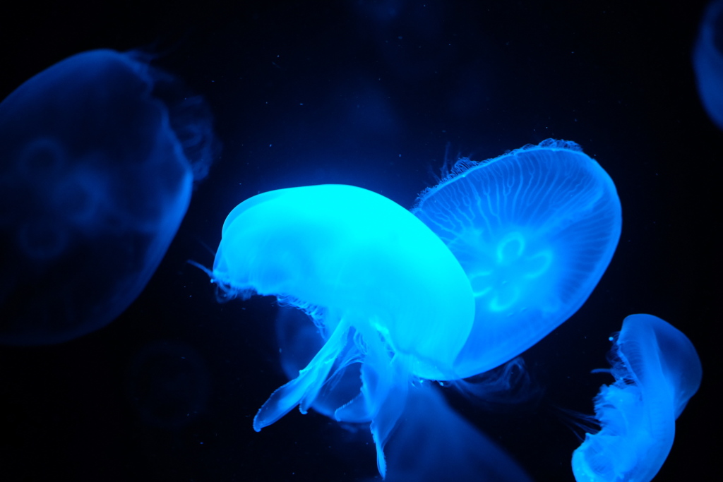 E868A6C3-CECD-4072-AB3C-2ACAB379E3C3