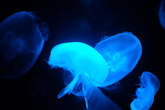 E868A6C3-CECD-4072-AB3C-2ACAB379E3C3