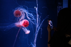 49C983B0-8268-4BA0-837C-6CD066F87E20