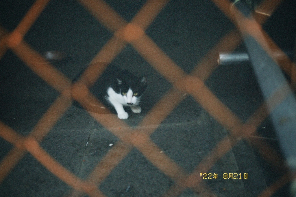 B3BDF180-03B0-463E-BD37-FC54BB822FA1