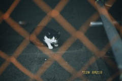 B3BDF180-03B0-463E-BD37-FC54BB822FA1