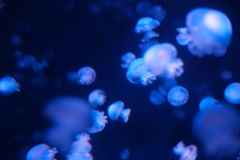 85AA18E3-1018-4FBF-BD93-A8EBD69B0E17