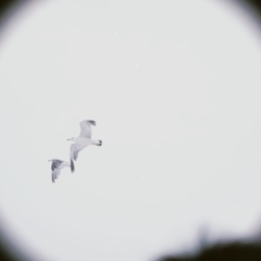 8D9C0E99-4B95-4759-8B28-3AF897972A6F