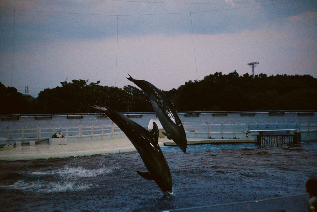 C0371445-D85E-4799-B3E8-E259FAA1F062