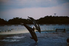 C0371445-D85E-4799-B3E8-E259FAA1F062