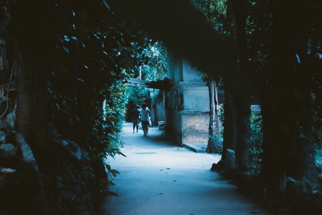 8CD15F9A-2B0A-4CD4-ACCC-BBF288DE7818