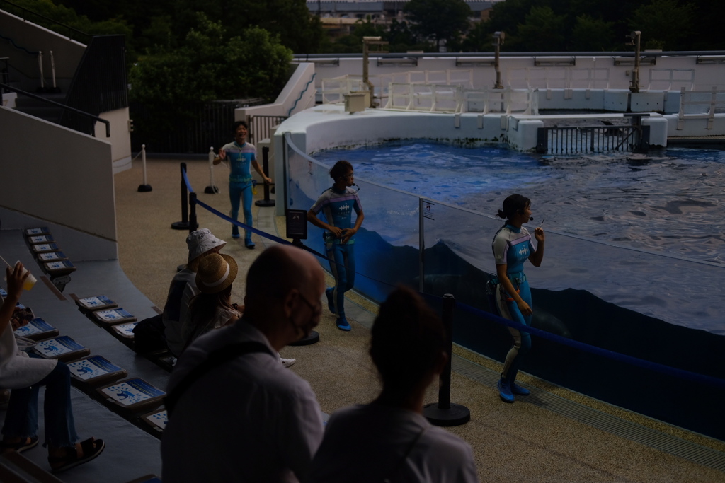 6E441B3F-EA4A-4961-A6AA-CE68FCD9F057