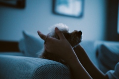 DB9F7BD8-FC45-4AD1-935C-5DF8C9AFF5E8