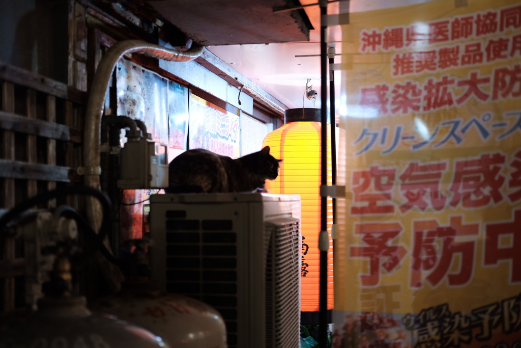 A6ED2CA3-CEB1-4113-93F2-764ED4F4885C