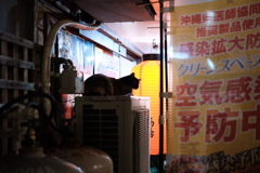 A6ED2CA3-CEB1-4113-93F2-764ED4F4885C