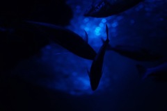 ABADF50E-D58C-497B-9666-DE335D133E11