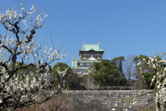 梅林と大阪城