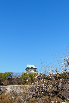 梅林と大阪城