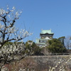 梅林と大阪城