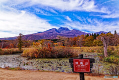 風景