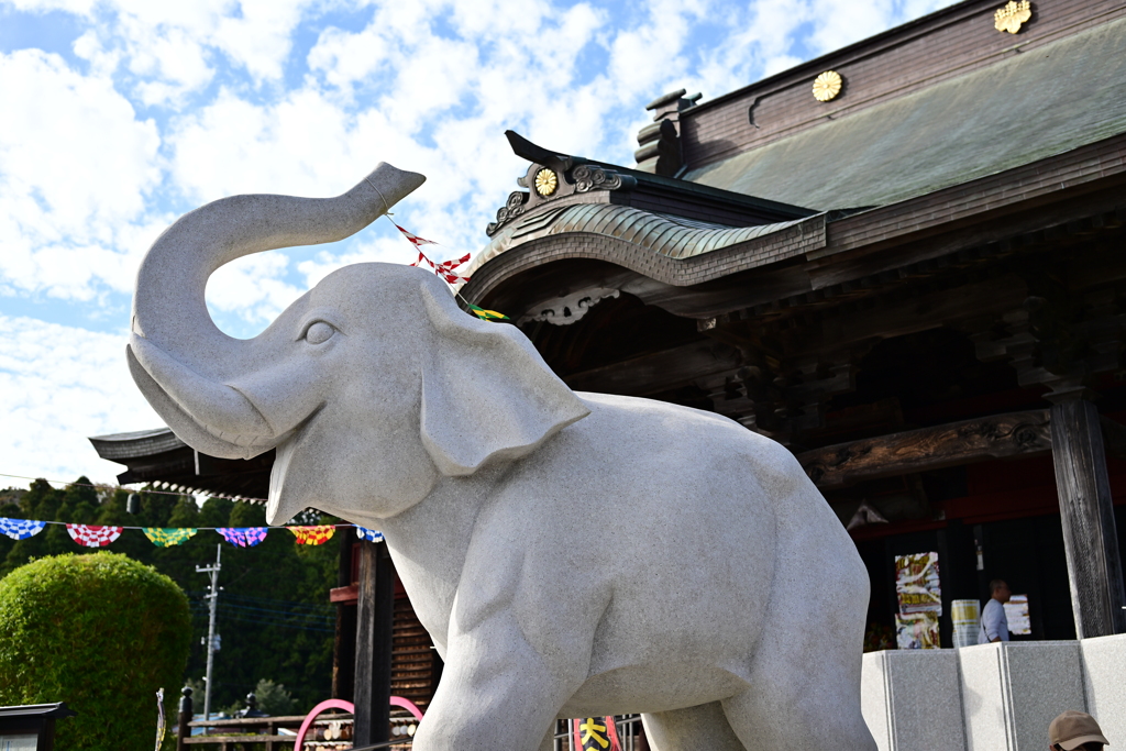 吉ゾウくん　長福寿寺