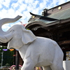吉ゾウくん　長福寿寺